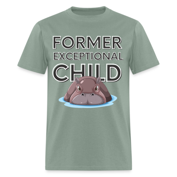 Exceptional (hippo 2) Unisex Classic T-Shirt - Image 38